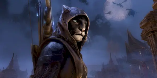 Elder Scrolls האפלה המטרידה לורה Khajiit פרווה סוחר