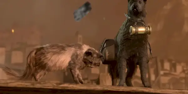 Un gatto marrone e un cane nero stanno uno accanto all'altro su una piattaforma di legno. Il cane ha dei contenitori simili a bisacce e altri contenitori attorno al collo.