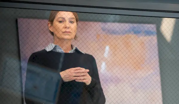 Ellen Pompeo jako Meredith Gray