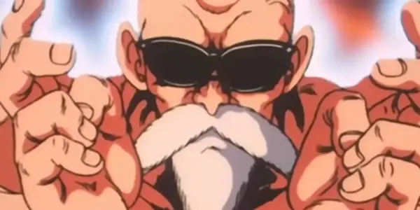 Majster Dragon Ball Roshi