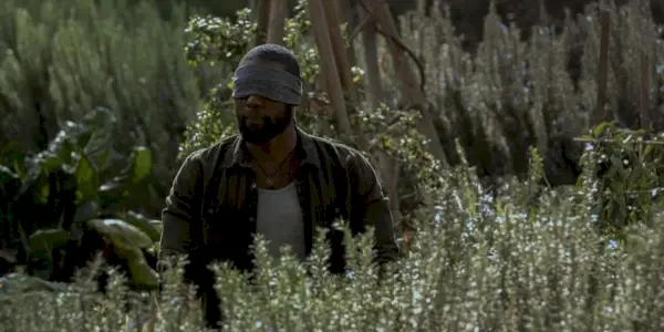 Muž so zaviazanými očami na poli v Bird Box Barcelona
