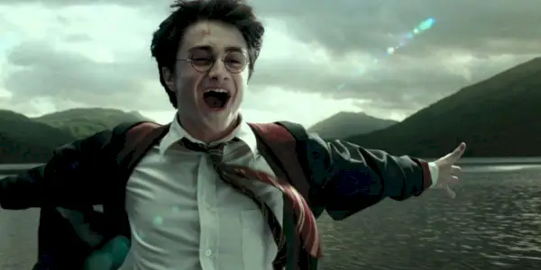 Latający Harry Potter i Hardodzioba.