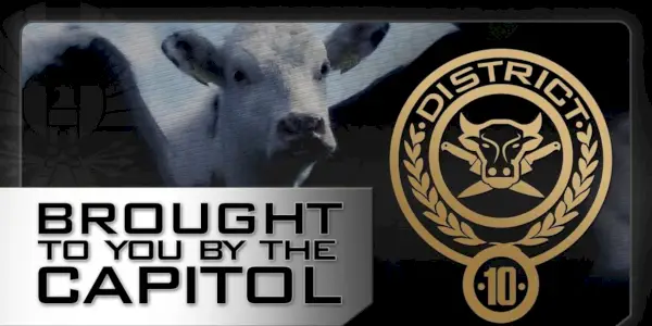 Hunger Games District 10