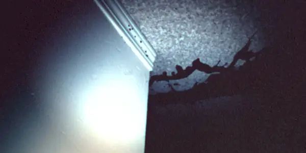 Krev stříká hlavou dolů ve Skinamarinku