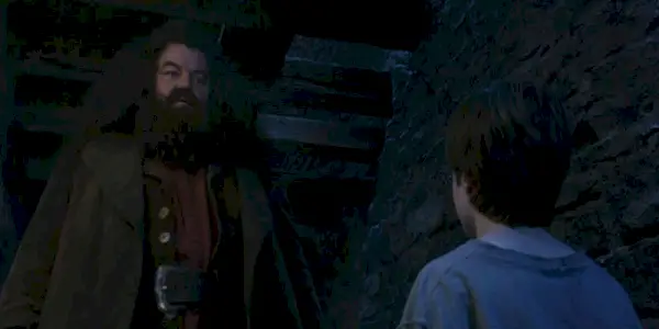 Hagrid erzählt Harry im Philosophen, dass er ein Zauberer ist
