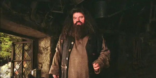 Rubeus Hagrid in seiner Hütte in Hogwarts.