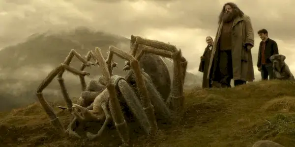 Aragog, Hargrid und Harry in Harry Potter beim Halbblutprinzen