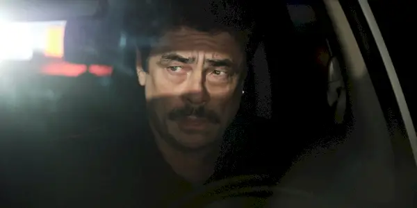 בניסיו דל טורו בזוחלים