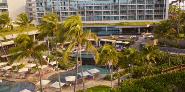 Questa immagine mostra le palme davanti ad una località tropicale.