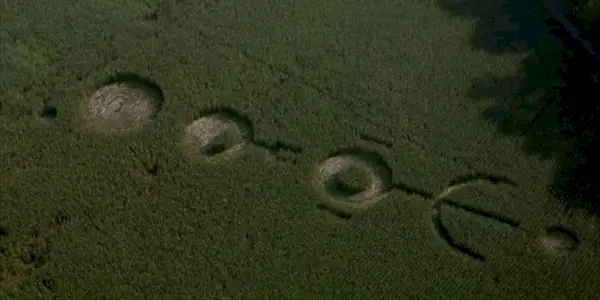 Cerchi nel grano in Signs.