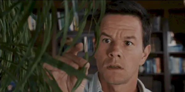 Mark Wahlberg em O Acontecimento