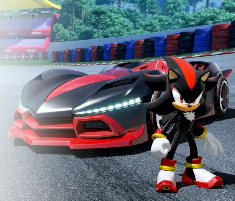 Shadow the Hedgehog, zespołowa dźwiękowa gra wyścigowa