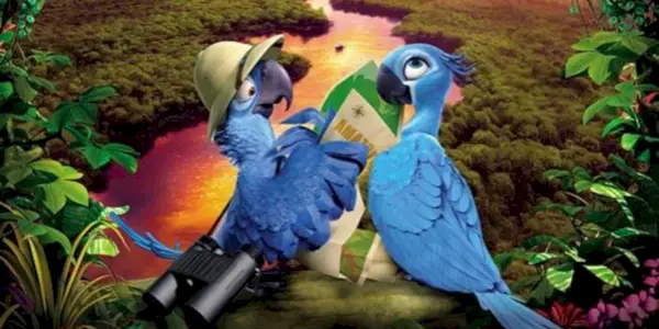 Blue i Jewel z lornetką i mapą w Rio 2