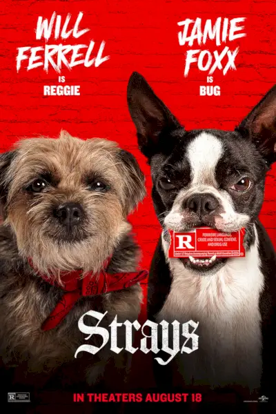 Plakat filmu Strays