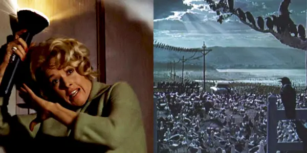 Delt billede af Melanie, der bliver angrebet, og fuglene, der dækker landet i The Birds.