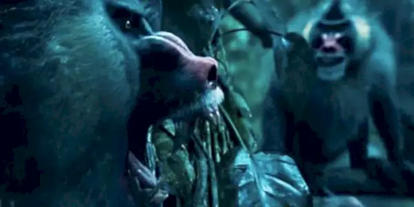 Macacos gritando em Jogos Vorazes pegando fogo