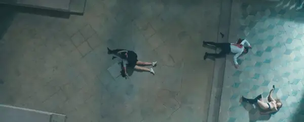 365 dias este dia terminando