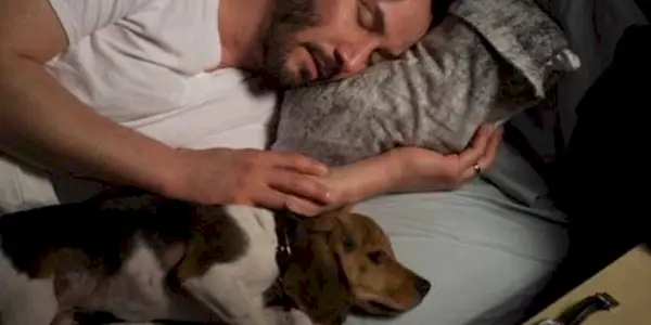 John Wick et Daisy se reposant dans John Wick
