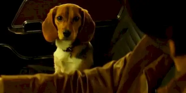 Daisy regarde John Wick dans une voiture