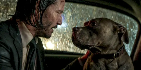John Wick parle à un chien à l'arrière d'un taxi new-yorkais dans John Wick Chapitre 3 Parabellum