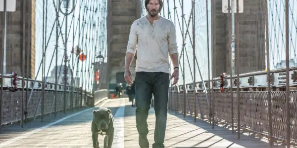 John Wick et un pitbull traversent un pont dans John Wick Chapitre 3 Parabellum