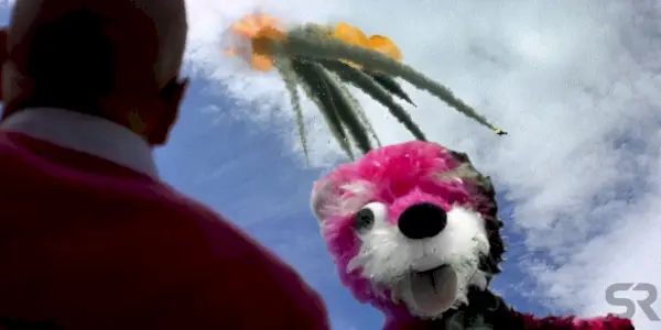 Breaking Bad Oso Rosa