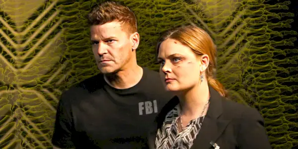 David Boreanaz e Emily Deschanel em Ossos