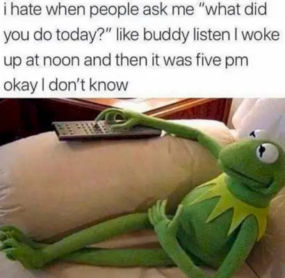 Kermit la rana Meme Passato mezzogiorno
