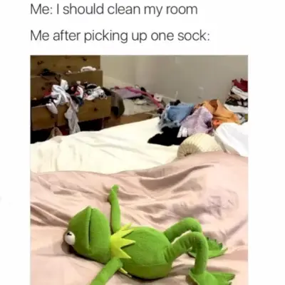 Kermit la rana e il calzino