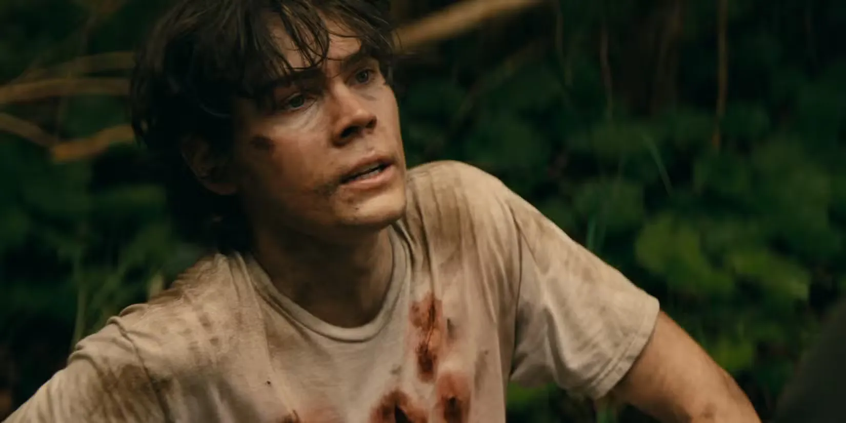 >Riley ist im Wald mit einem blutigen Hemd in Wayward Staffel 1 Episode 1Courtesy von Netflix<p>Während Bewertungen für <em>Eigenwillig</em>   Die Zuschauerschaft des Thrillers ist hoch. Das globale und inländische Publikum entscheiden sich dafür, es über viele andere jüngste Angebote auf Netflix zu verfolgen. Die Serie hat keine Angst, ein wirklich störendes Territorium zu betreten, das es bereits von der Konkurrenz abheben konnte.</p> <br /> <div id= Riley ist im Wald mit einem blutigen Hemd in eigens