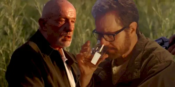 Breaking Bad Walter Mike Boisson