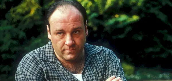 Cropped tony-soprano-pool