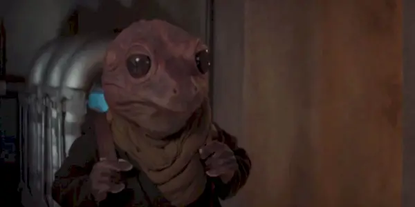 A Dama Sapo carrega seu recipiente de ovos em Peli
