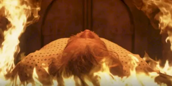 Frank Gallagher (William H. Macy) est incinéré dans le final de Shameless