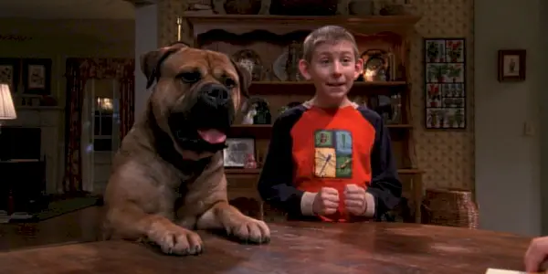 Dewey