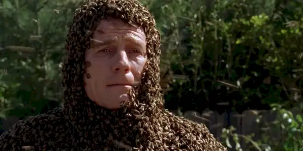 Malcolm v Middle Hal v Bee Suit
