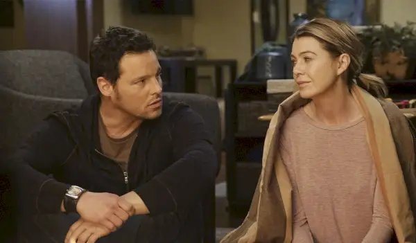 アレックス・カレフとメレディス・グレイ・オン・グレイ