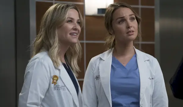 Arizona Robbins, Jo Wilson - Gris