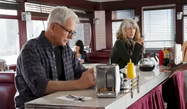 Mark Harmon e Pam Dawber, NCIS