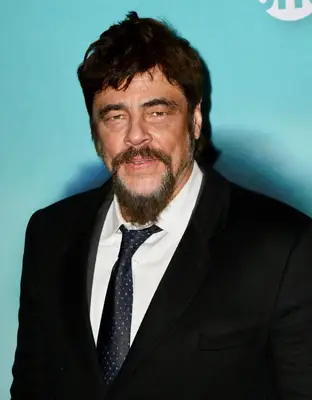 Headshot Of Benicio Del Toro