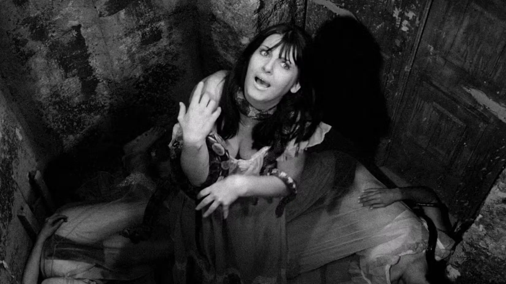 10 hororů, které jsou 10/10, ale nikdo si je nepamatuje