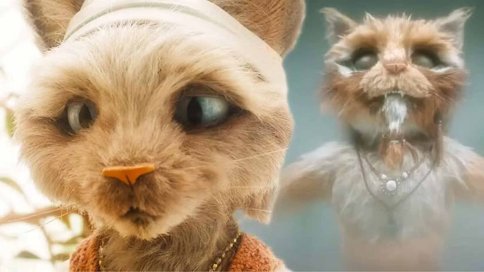 10 покадровых фильмов ужасов, которые освоили этот жанр