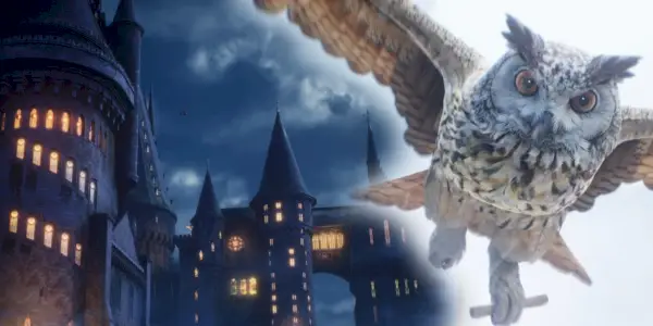 Dziedzictwo Hogwartu: Jak profesor Weasley jest spokrewniony z Ronem