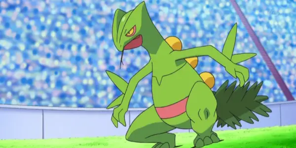 くさタイプの最強ポケモンランキング15選