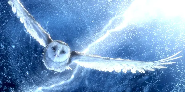 Legend Of The Guardians 2: Perché Snyder non ha mai realizzato un sequel