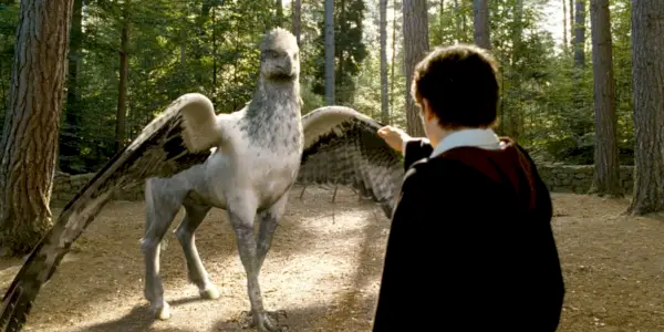 Harry Potter: 5 Gründe, warum Hagrid Harry ein guter Freund war (5 Gründe, warum er es nicht war)