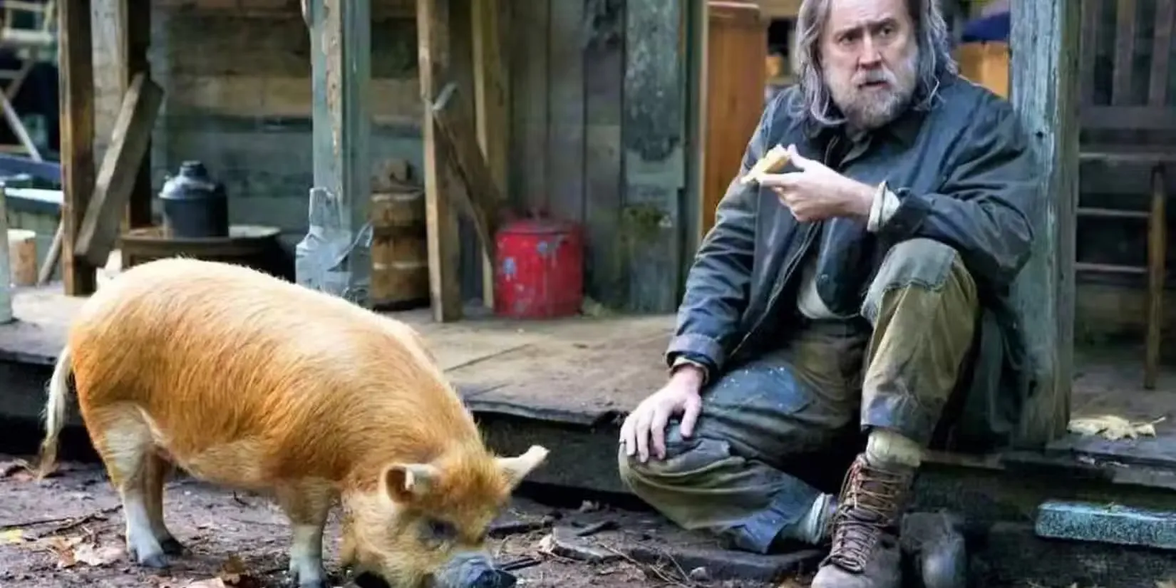 Nicolas Cages 10/10 Animal Revenge-film är Anti-John Wick