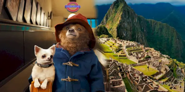 Paddington ve filmových výzvách v Peru