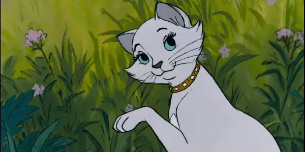 Aristocats tiešraides pārtaisījums: apstiprinājums