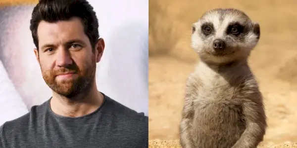 Billy Eichner ako Timon v obsadení Leví kráľ 2019